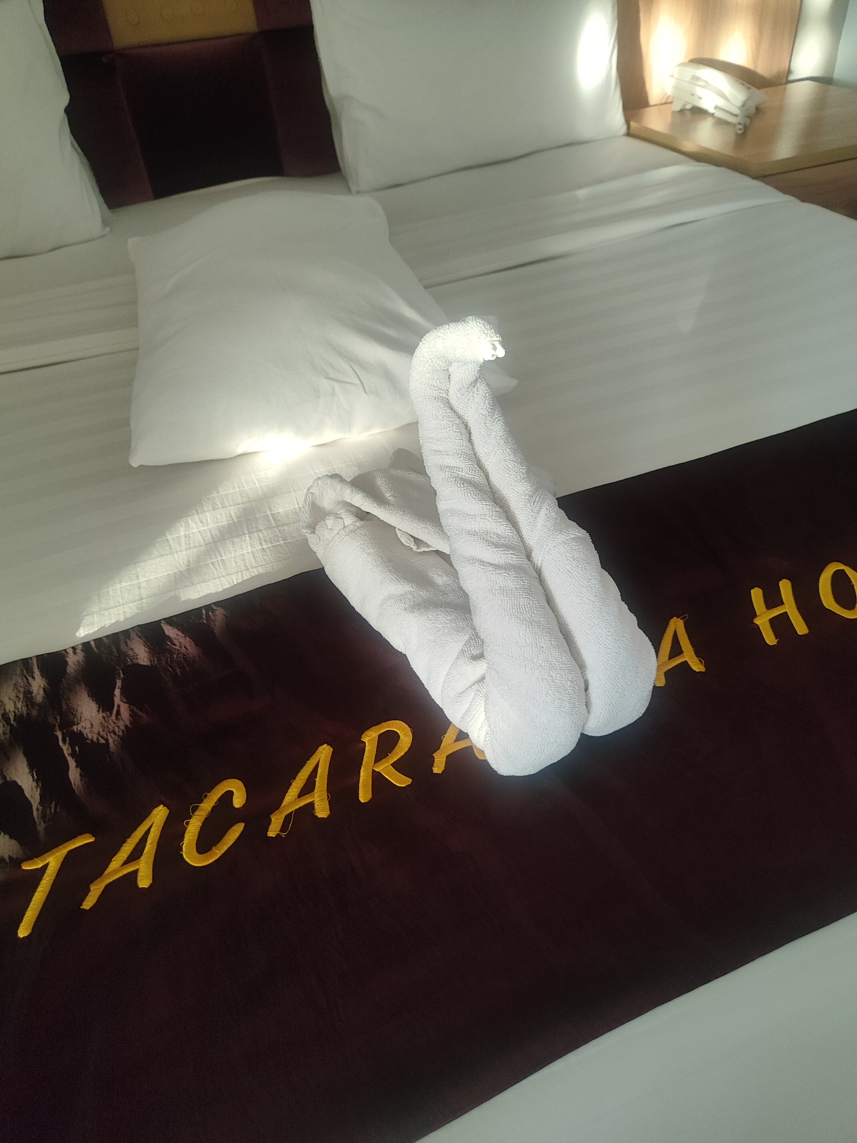 Jacaranda Hotel-客卧