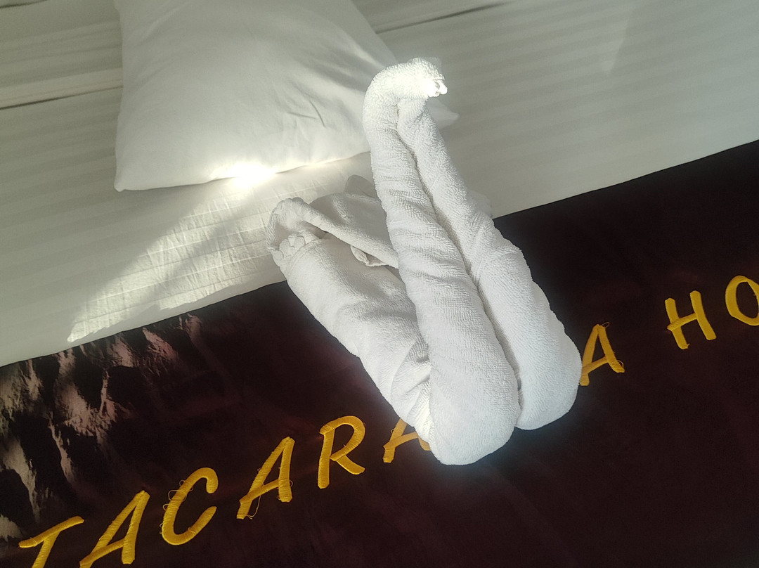 Jacaranda Hotel主图