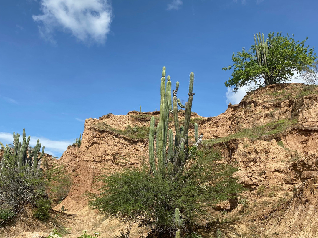 Monumento Cuarto Centenario-内瓦必去景点