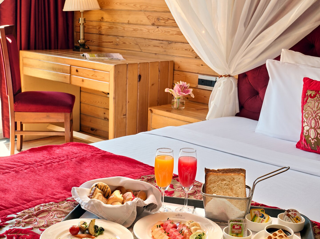 Deventure Shimla Hills主图