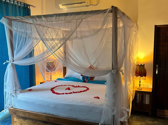 Amba Kola Udawalawa主图