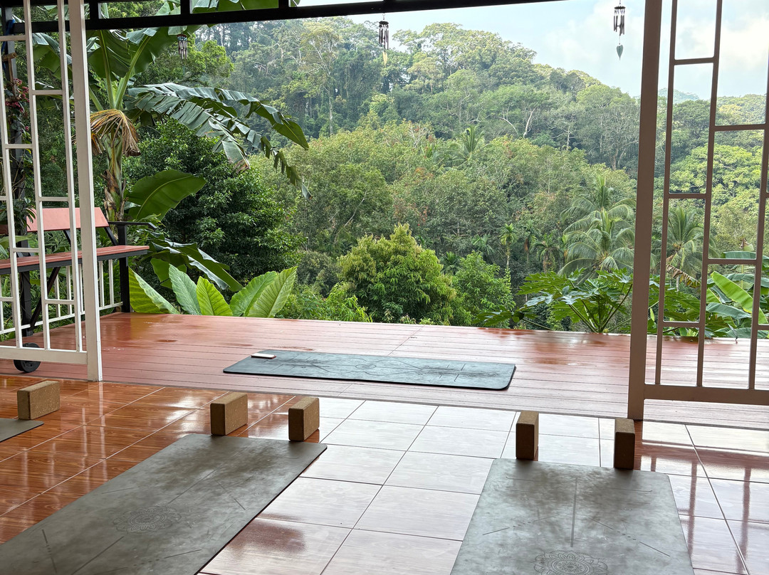 Hari Om Yoga Koh Phangan景点图片