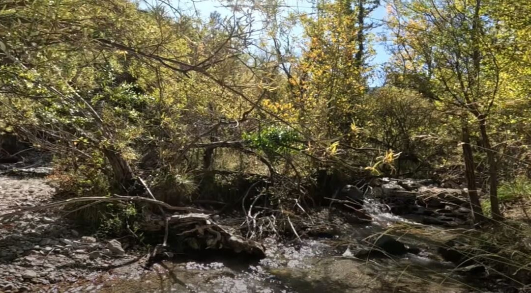 Irene's Healthy Life-Pallini必去景点