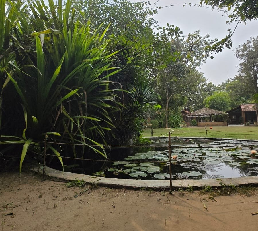 Mahua Vann Pench主图