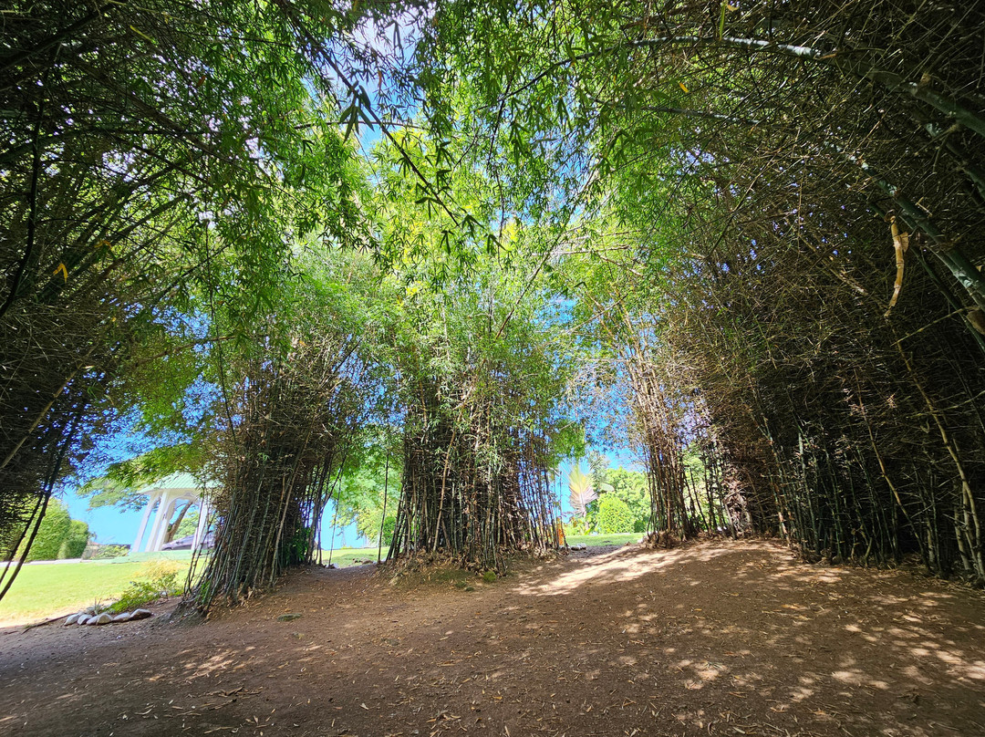 Dominica Botanic Gardens-罗索必去景点