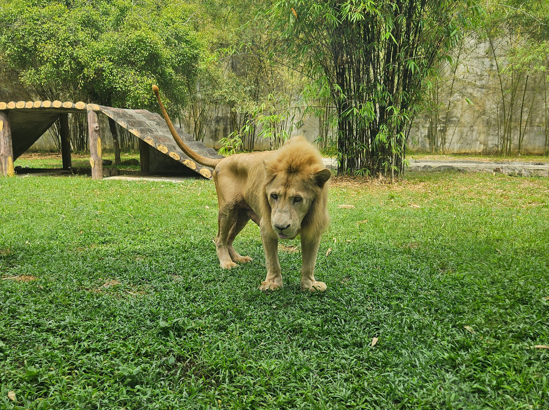 Langkawi Nature Park-Kampung Belanga Pechah必去景点
