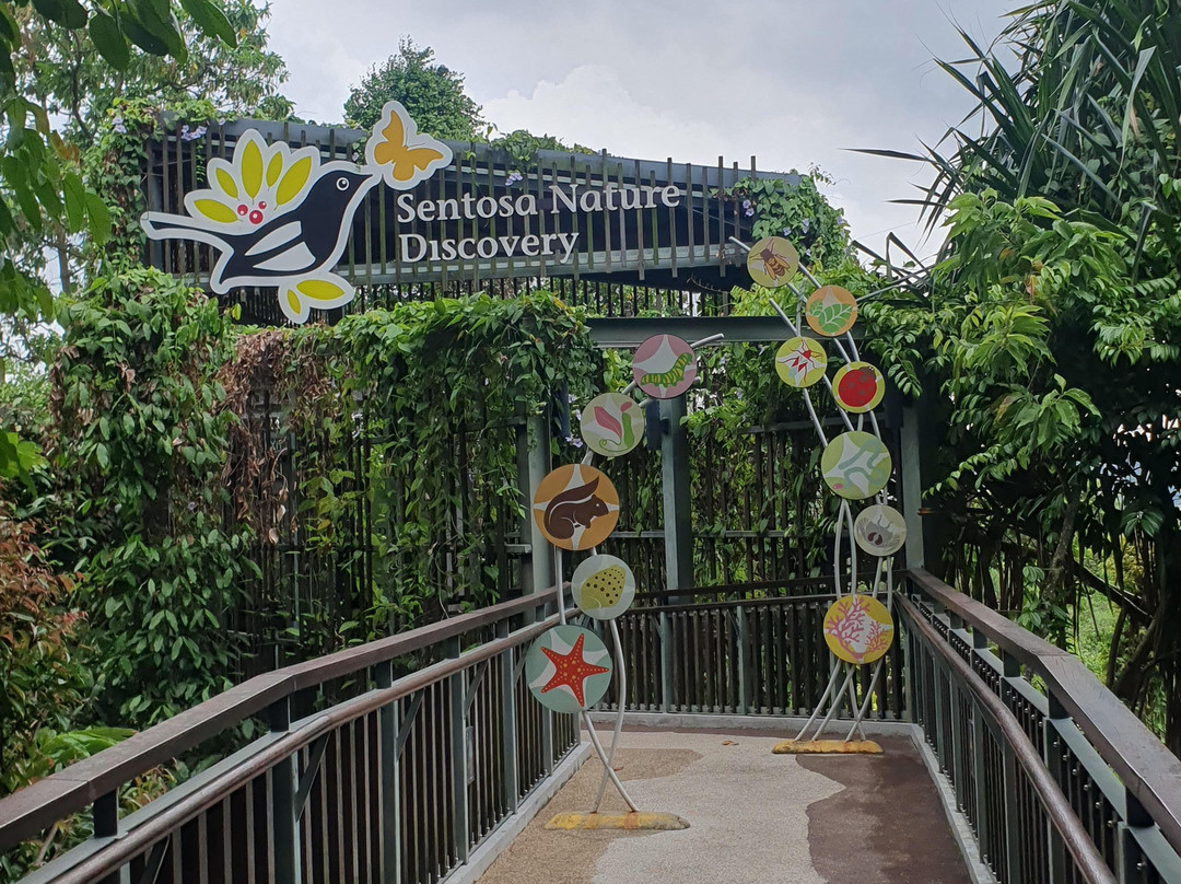 下畅游圣淘沙自然探索中心-圣淘沙岛必去景点