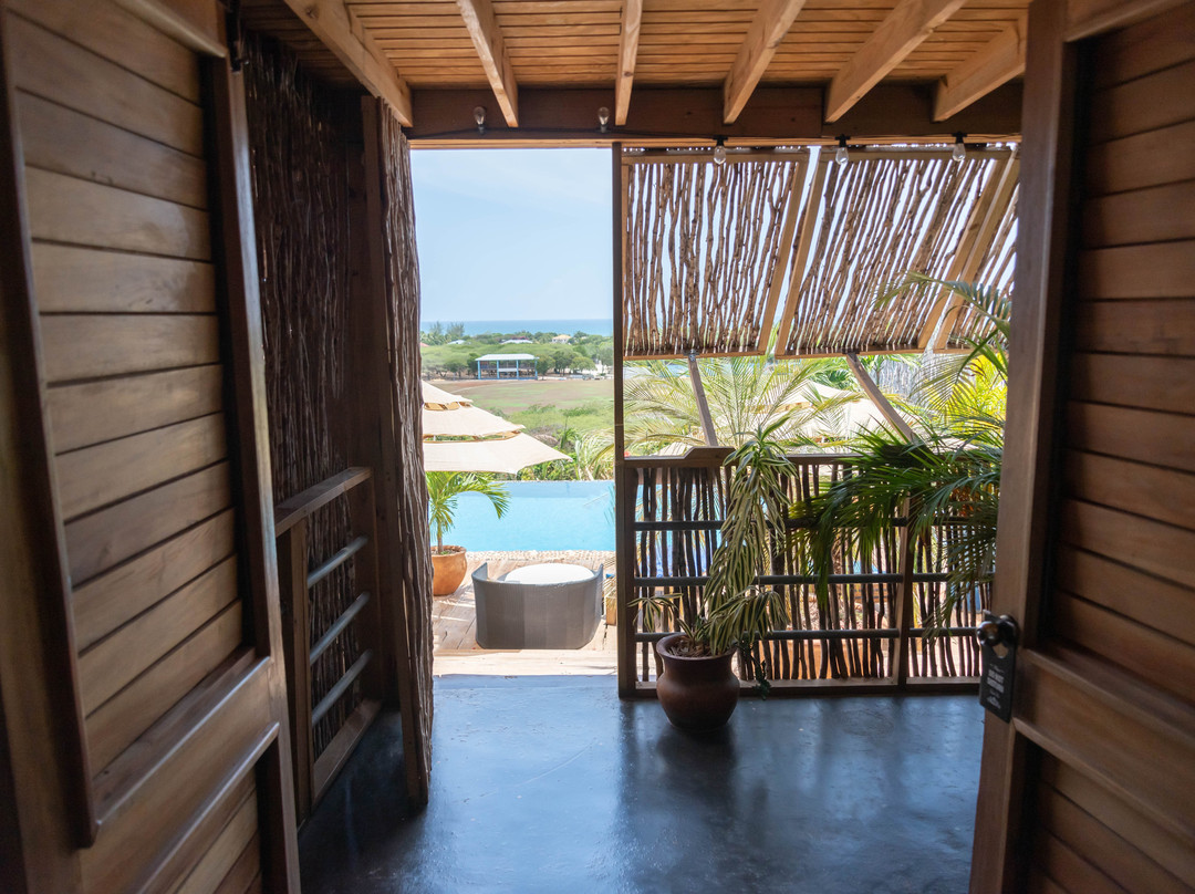 Lashings Jamaica主图