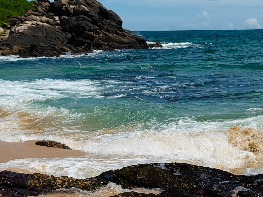 Travel with Wijaya-科伦坡必去景点