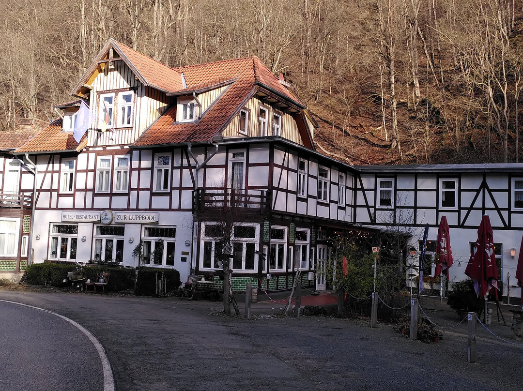 Hotel Zur Luppbode主图