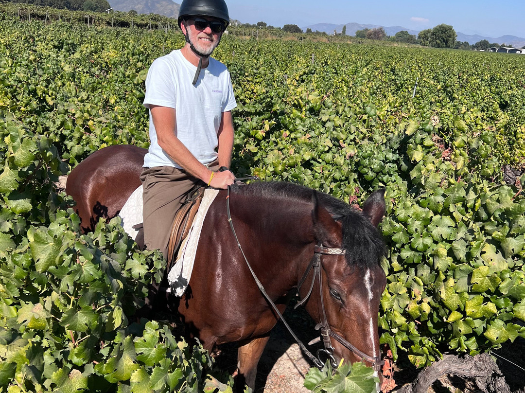 Cabalgatas Y Club Ecuestre Santa Cruz-圣克鲁斯必去景点