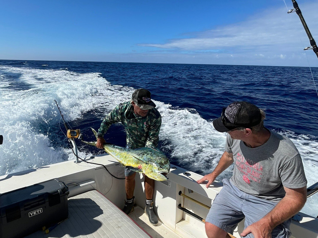 UFO Parasail-卡纳帕利必去景点