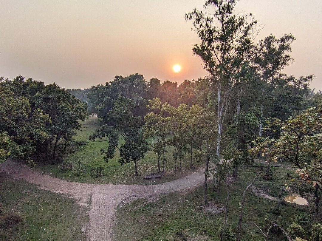 Bhawal National Park-Gazipur必去景点