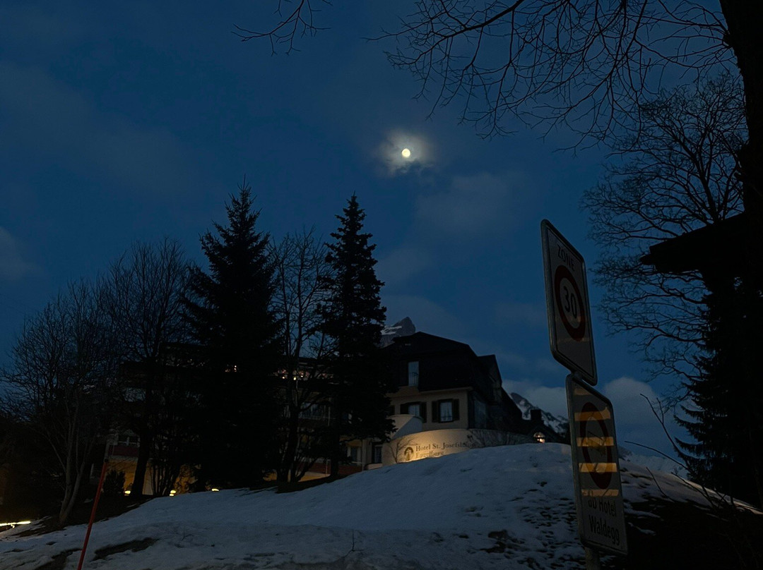 Hotel St. Josefshaus Engelberg主图