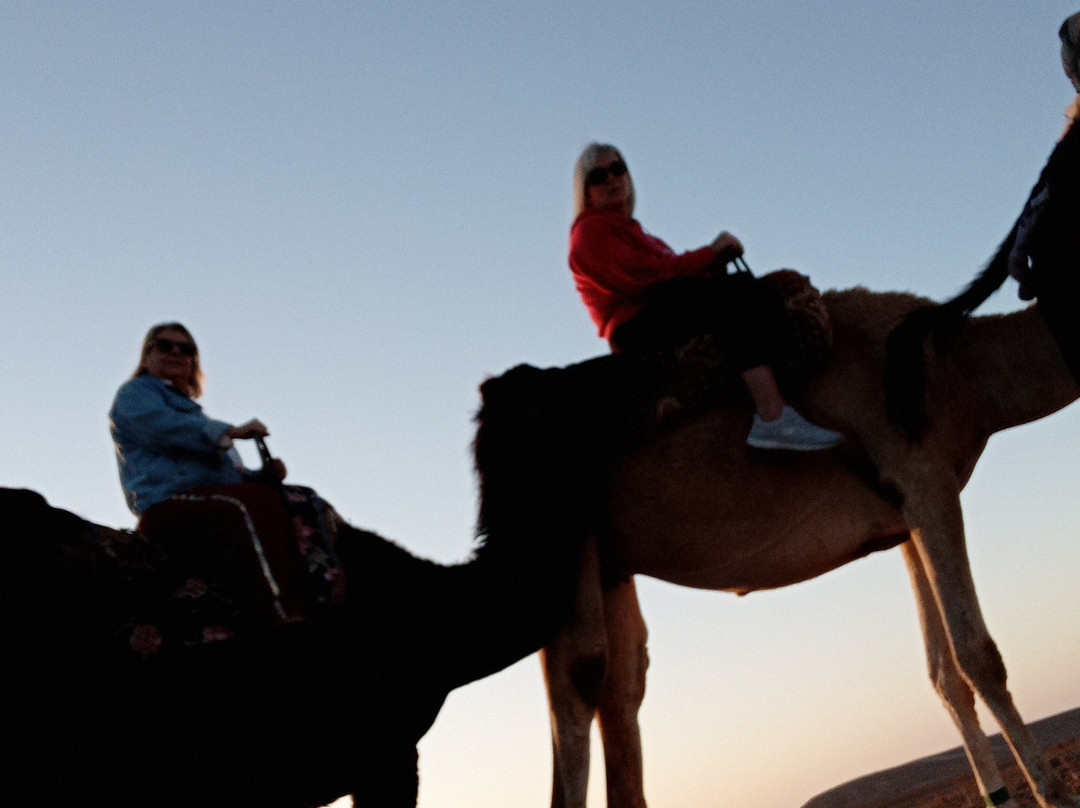 Moroccan Activities & Desert Safaris-卡萨布兰卡必去景点