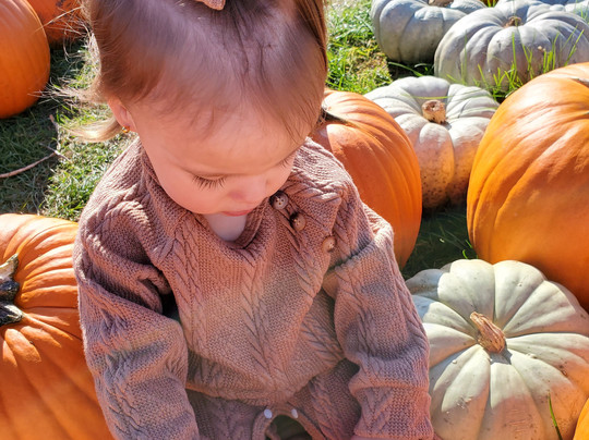 Pickering Hill Farms-Avon必去景点