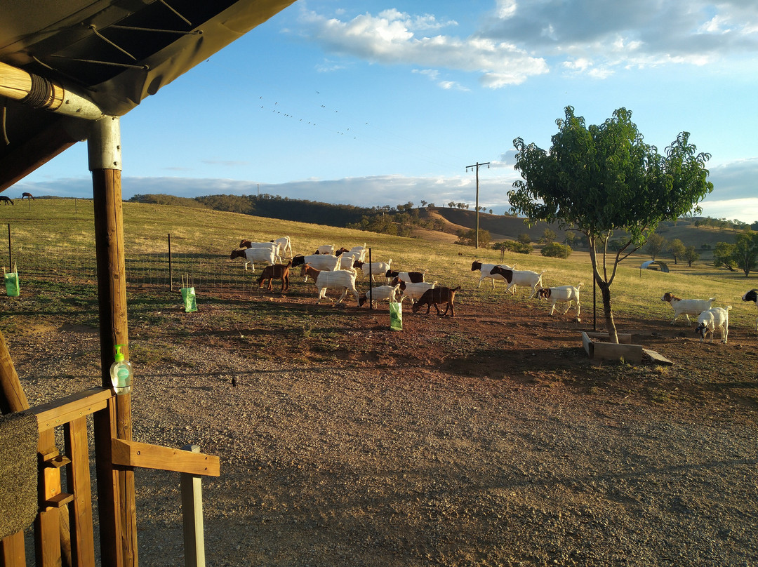 Hillview Farmstay主图