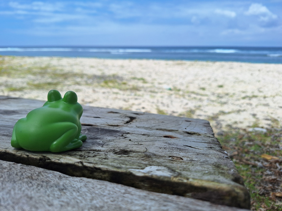 Tamanu on the Beach Resort and Spa主图