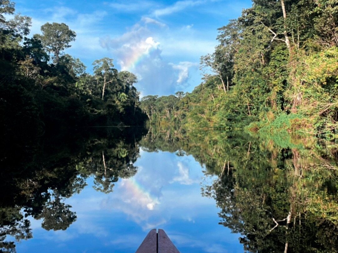 Amazon Golden Snake-伊基托斯必去景点
