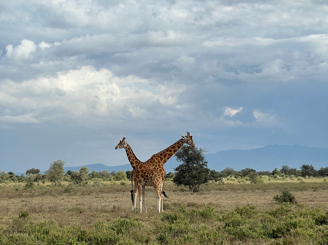 Southern Cross Safaris-温德和克必去景点
