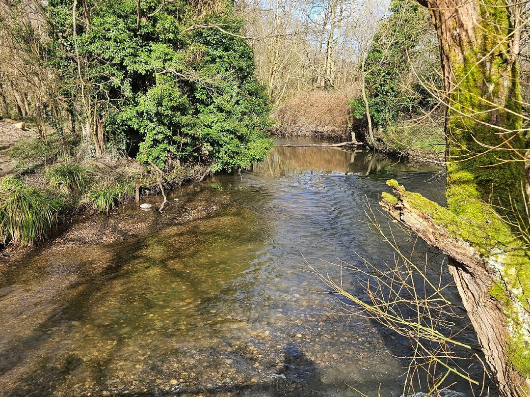 Park In The Past-Hope必去景点