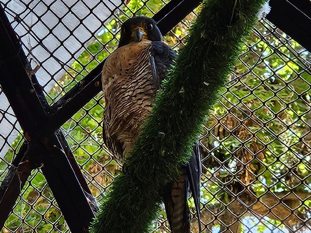 Refugio Animal Cascada景点图片
