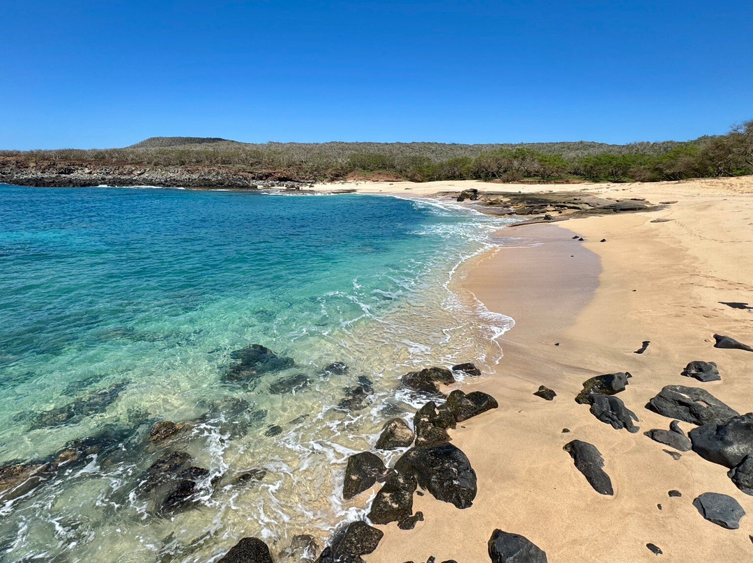 Kawakiu Beach-莫纳罗亚必去景点