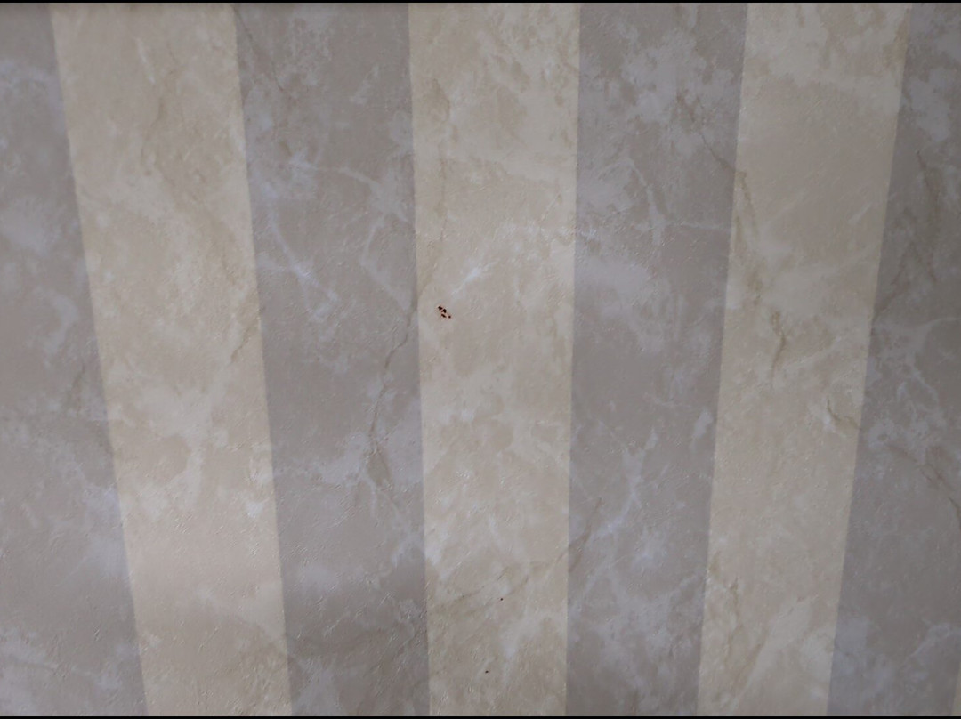 Wyndham Garden Medicine Hat Conference Center主图