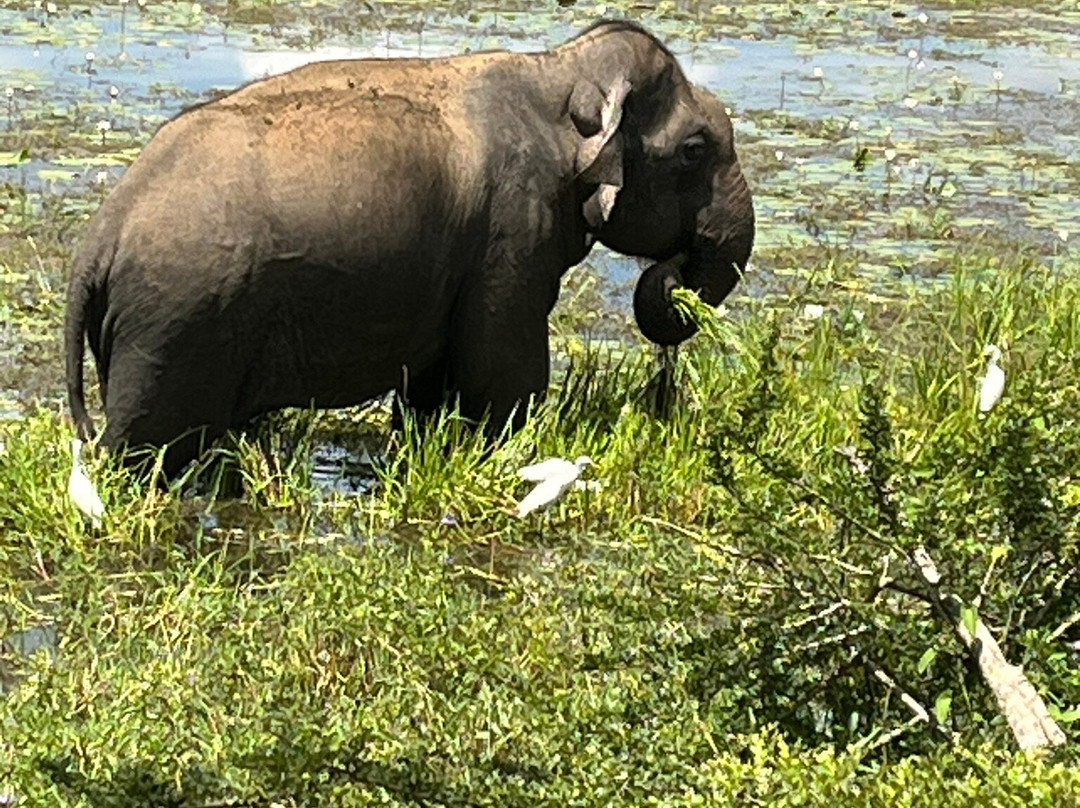 Fernando Tours-希克杜沃必去景点