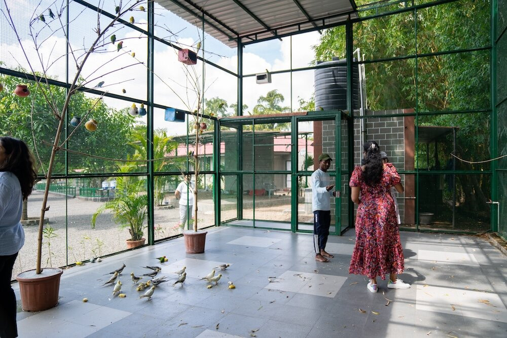 Meher Retreat景点图片