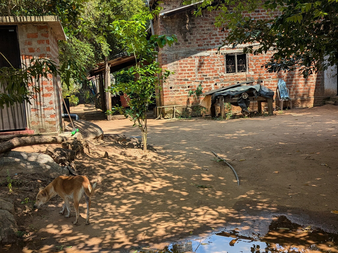 Paradise Route Srilanka景点图片