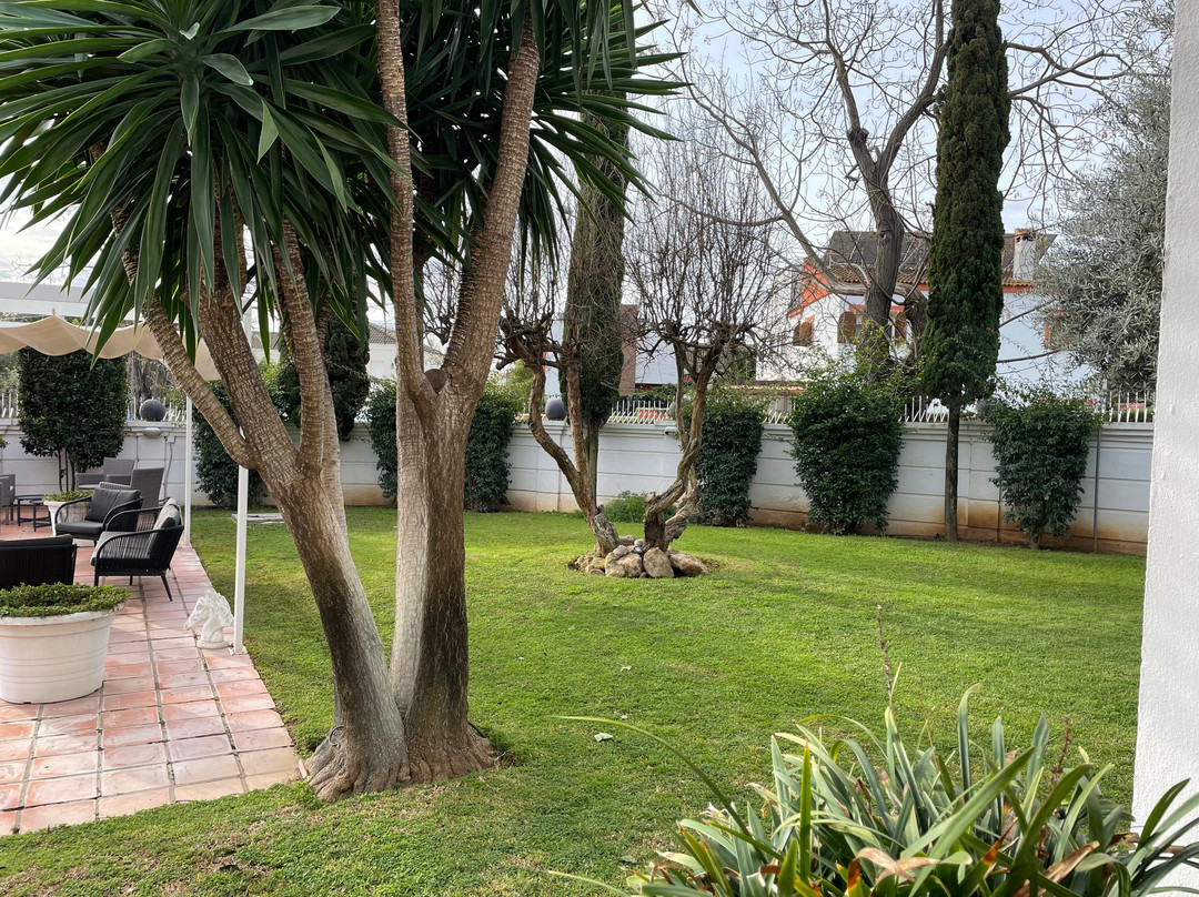 B&b Arena Sevilla主图