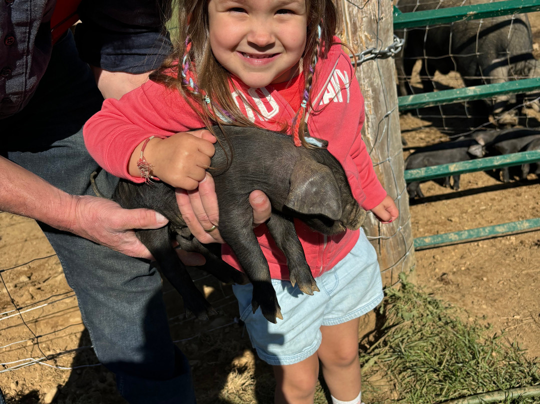 Belding Hill Farms-Hampton必去景点