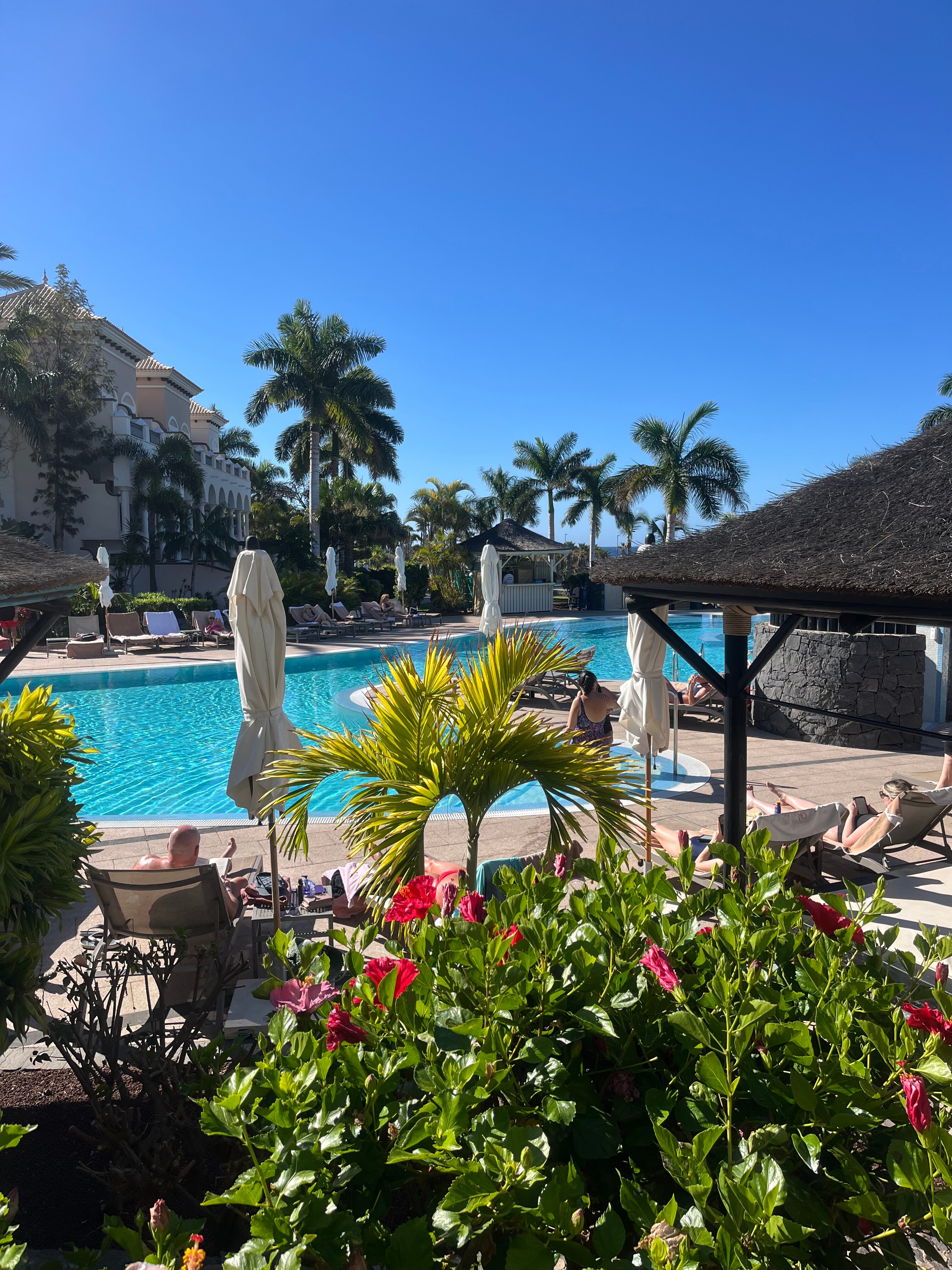 Gran Melia Palacio de Isora-泳池