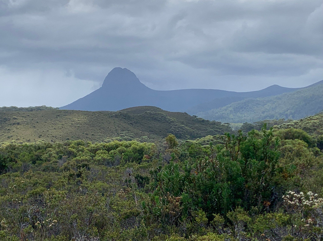 Tasmanian Wilderness Experiences景点图片