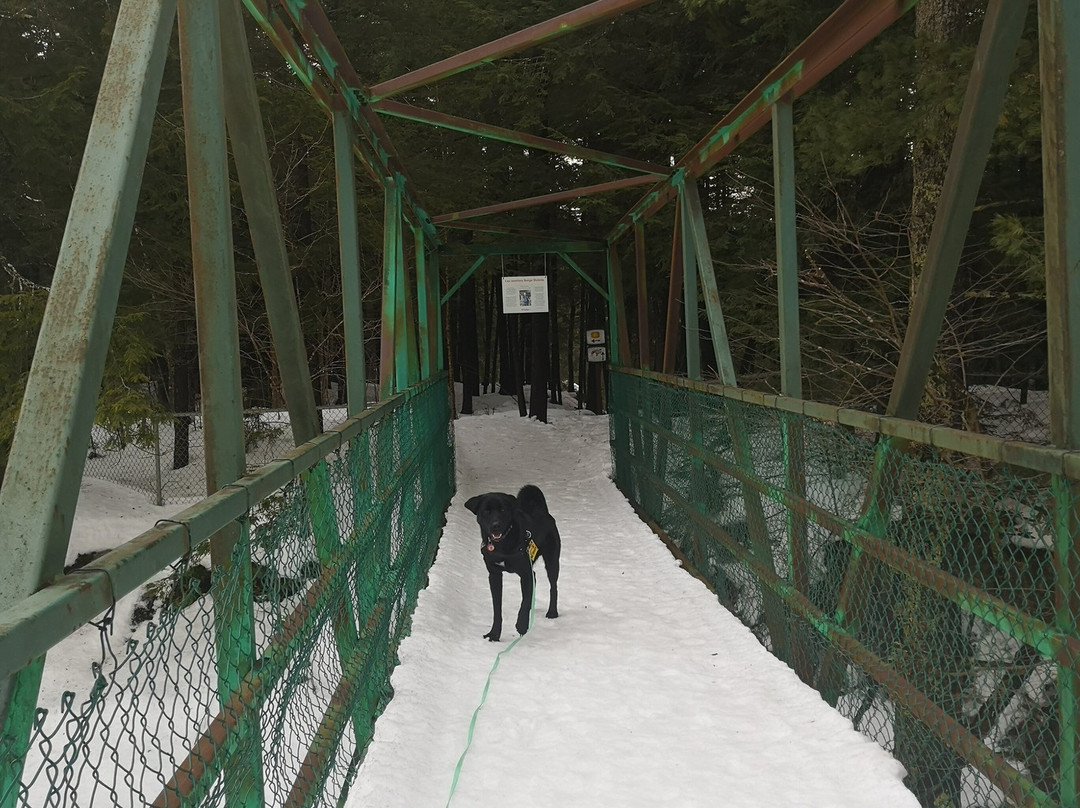 le Parc Historique de la Poudriere de Windsor-Windsor必去景点