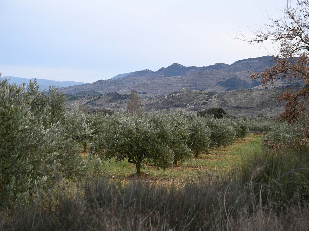 Bodegas Caudalia-Lerga必去景点