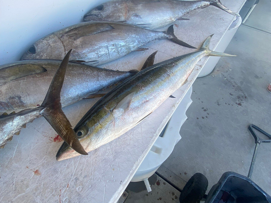 Hillbilly Hookers Key West Fishing Charter-Stock Island必去景点