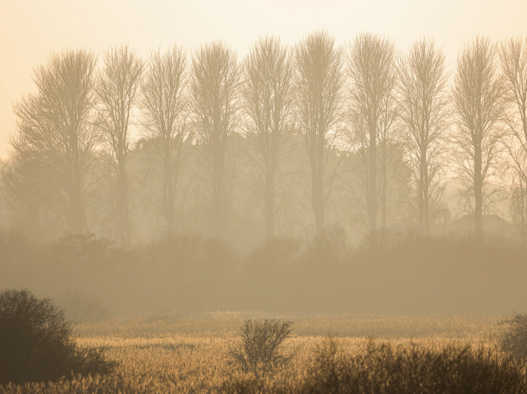 RSPB Minsmere-Westleton必去景点
