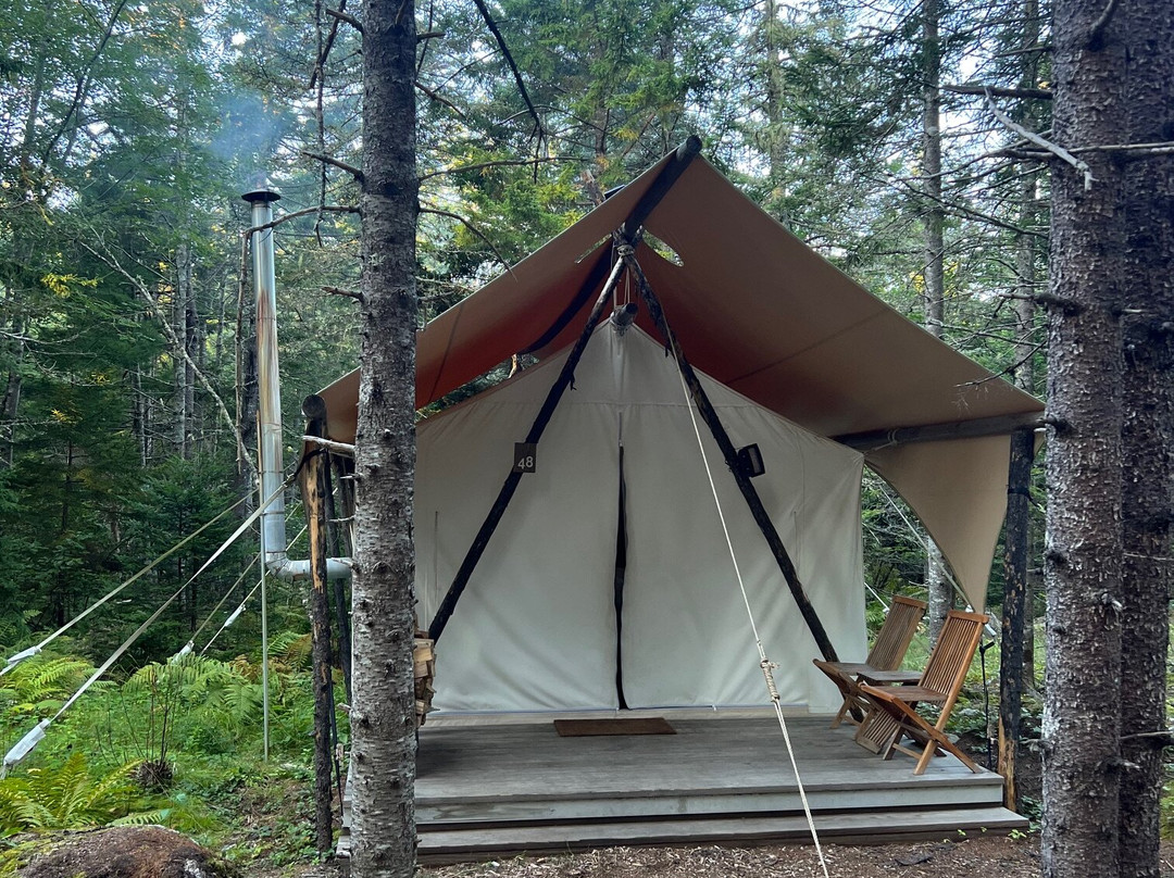 Under Canvas Acadia主图