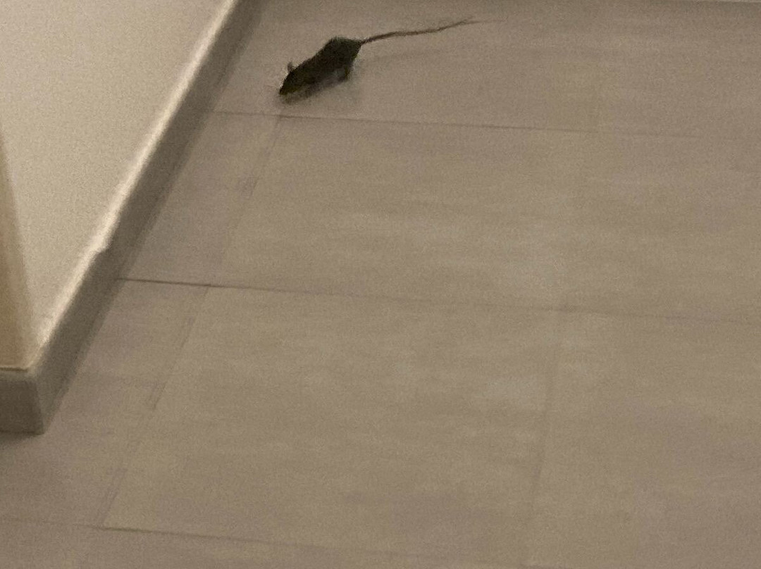 马雅海滨悦宜湾奢享酒店主图