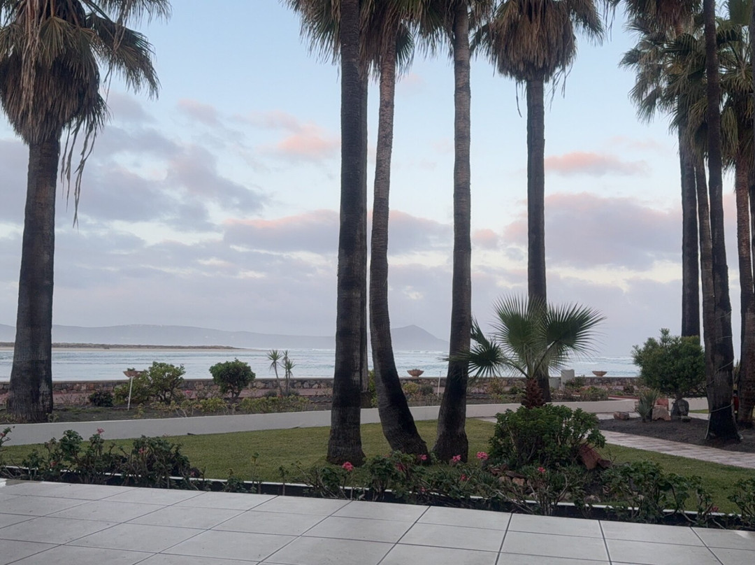 Estero Beach Hotel & Resort主图