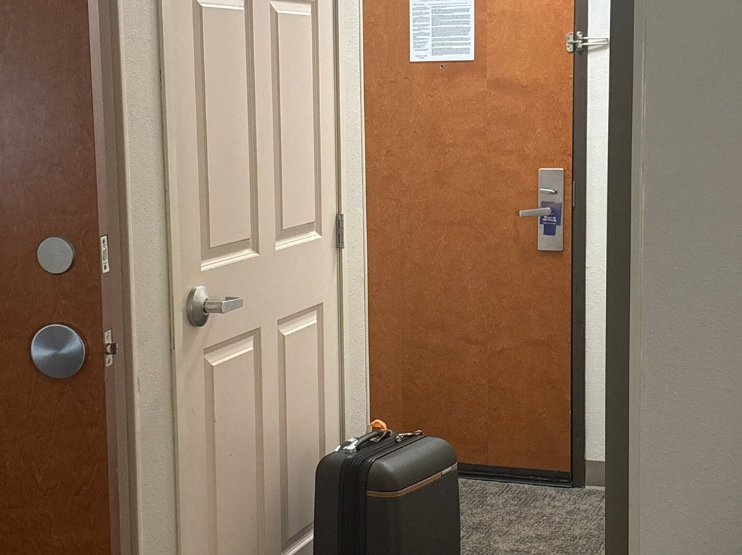 Comfort Inn & Suites Sarasota I75主图