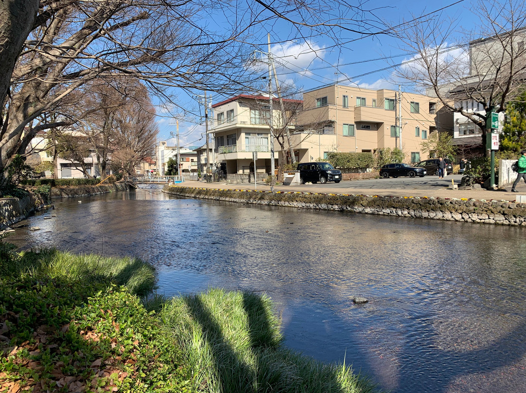 Shirataki Park-三岛市必去景点
