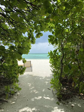 马尔代夫可可尼度假村主图