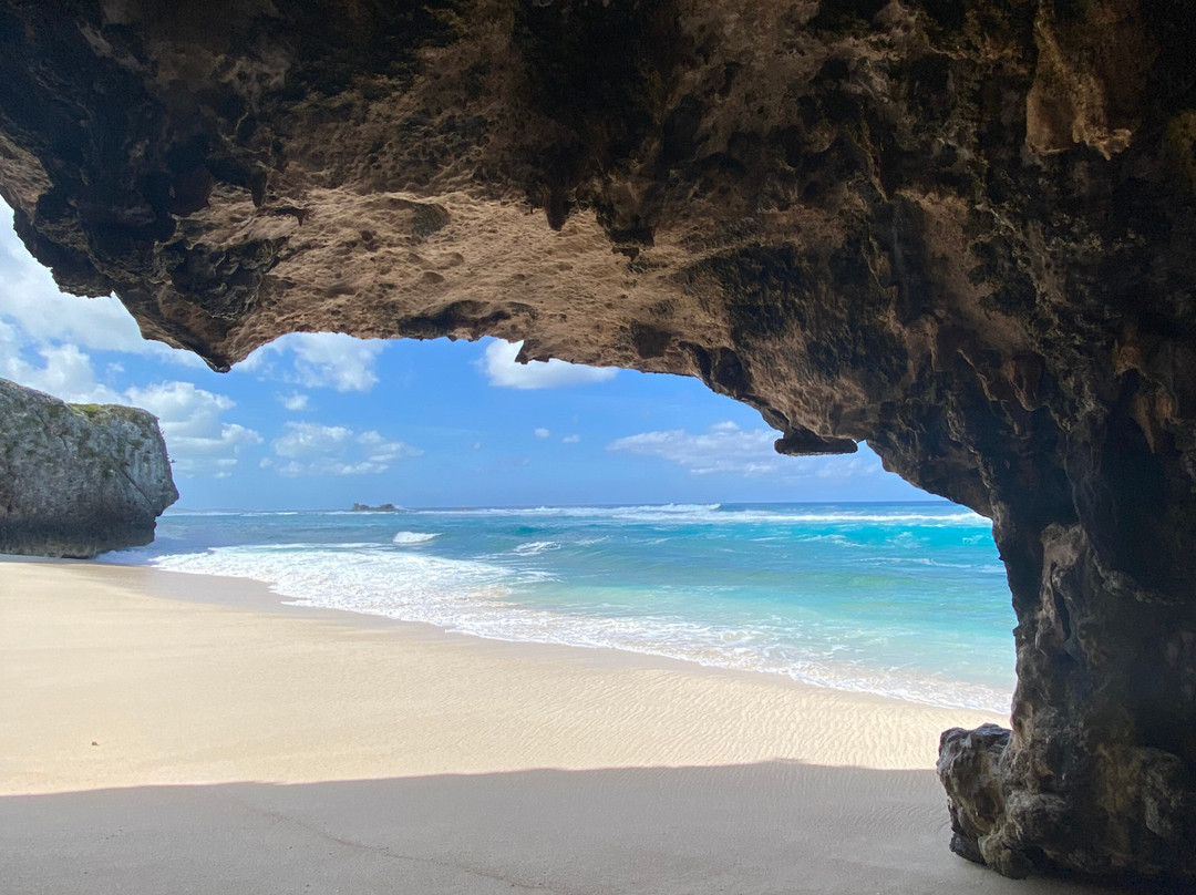 Twin E-bike Tours & Rentals-North Caicos必去景点