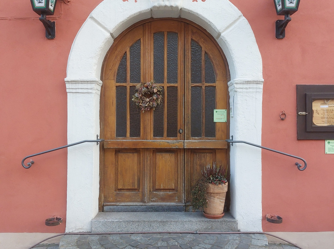 Hotel Gruner Baum主图