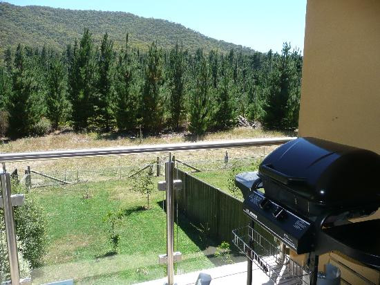 Apartments on Delany主图