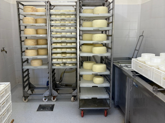 Cabras de Cafayate-卡法亚特必去景点