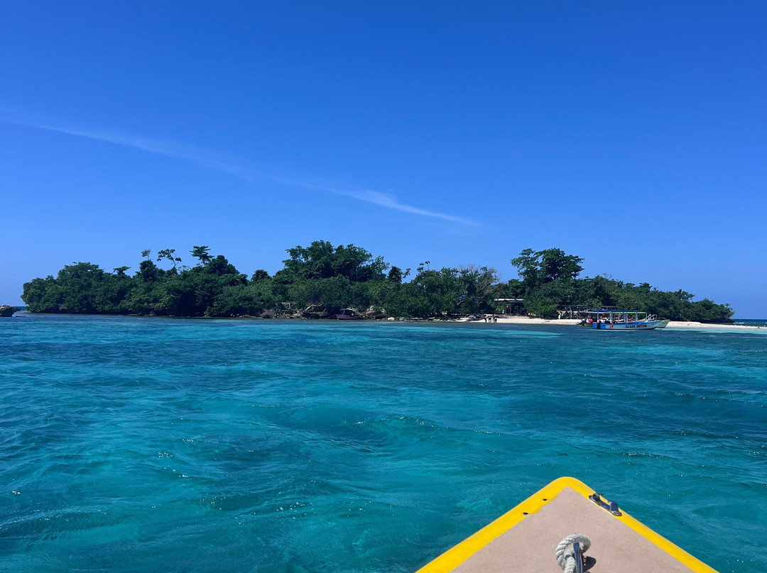 Captain Jace Allen Glass Bottom Boat Tours Negril-内格里尔必去景点